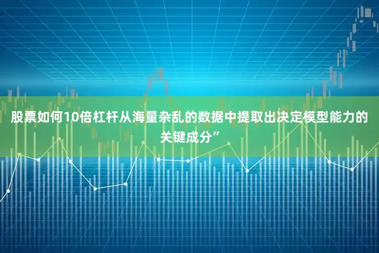 股票如何10倍杠杆从海量杂乱的数据中提取出决定模型能力的关键成分”