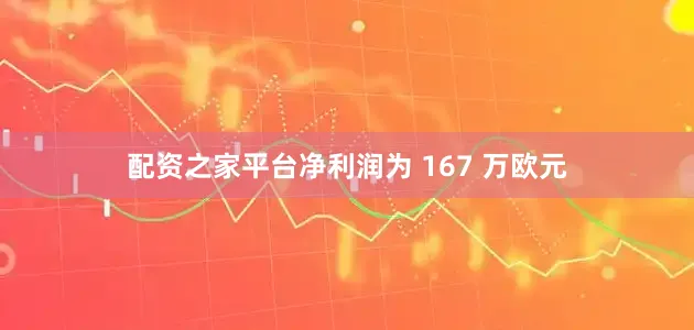 配资之家平台净利润为 167 万欧元